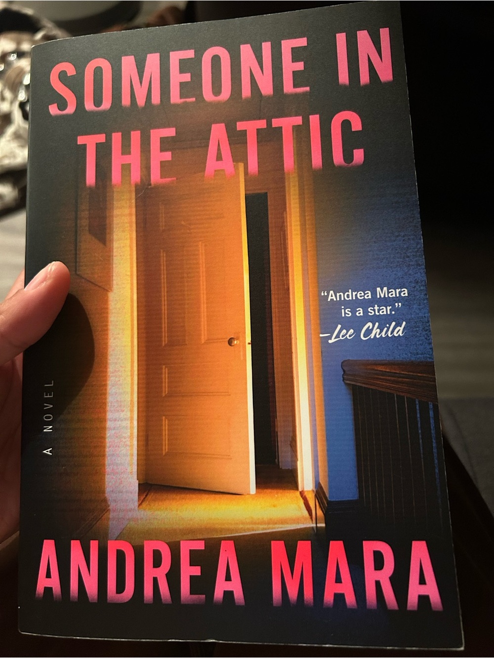 Someone in the attic soft cover book